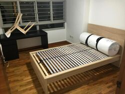 Blk 303D Coralinus (Punggol), HDB 4 Rooms #594550221